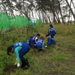 Volunteer work at Shichigahama