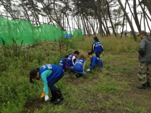 Volunteer work at Shichigahama